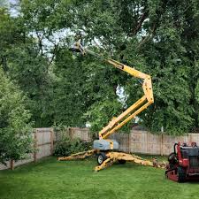 Best Tree Mulching Services  in Madison, FL